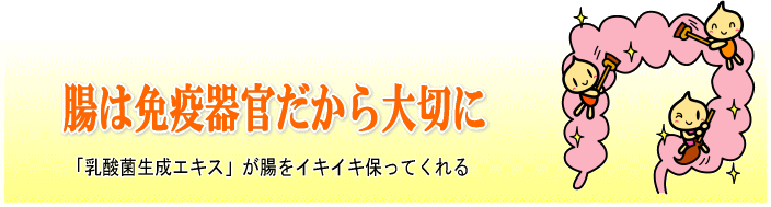 笹塚クリニック メディカルサプリメント 乳酸菌生成エキス アルベックス